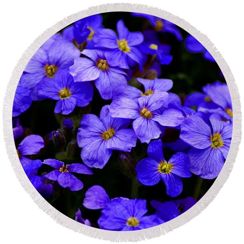 Flowers Round Beach Towel featuring the photograph Wildflower Blues by Ben Upham III