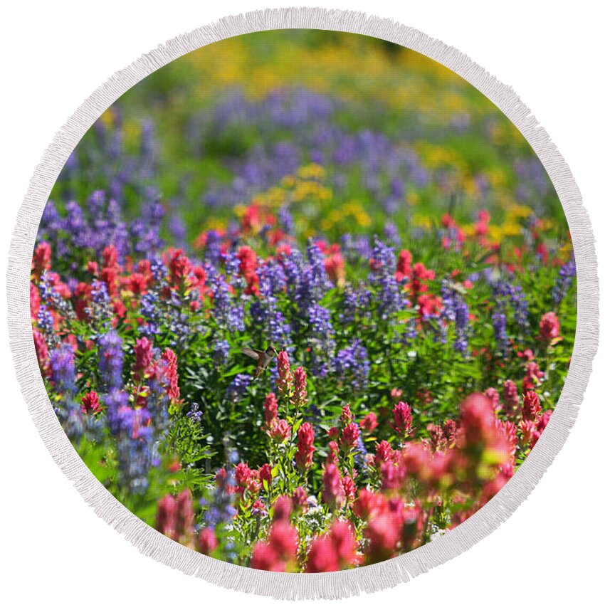 Wildflower Round Beach Towel featuring the photograph Wildflower Meadow and Hummingbird by Brett Pelletier