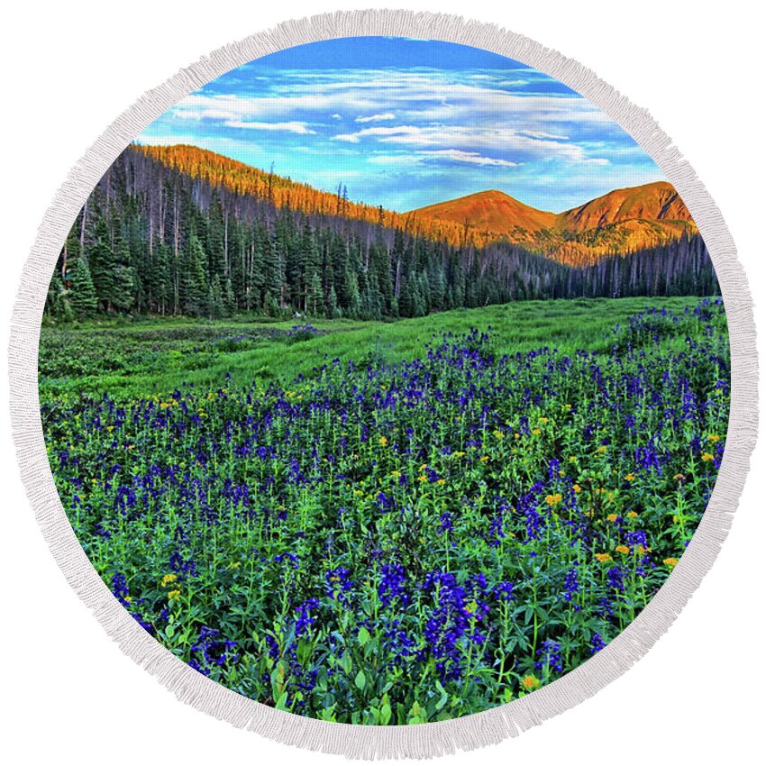 Wildflowers Round Beach Towel featuring the photograph Wildflower Park by Scott Mahon