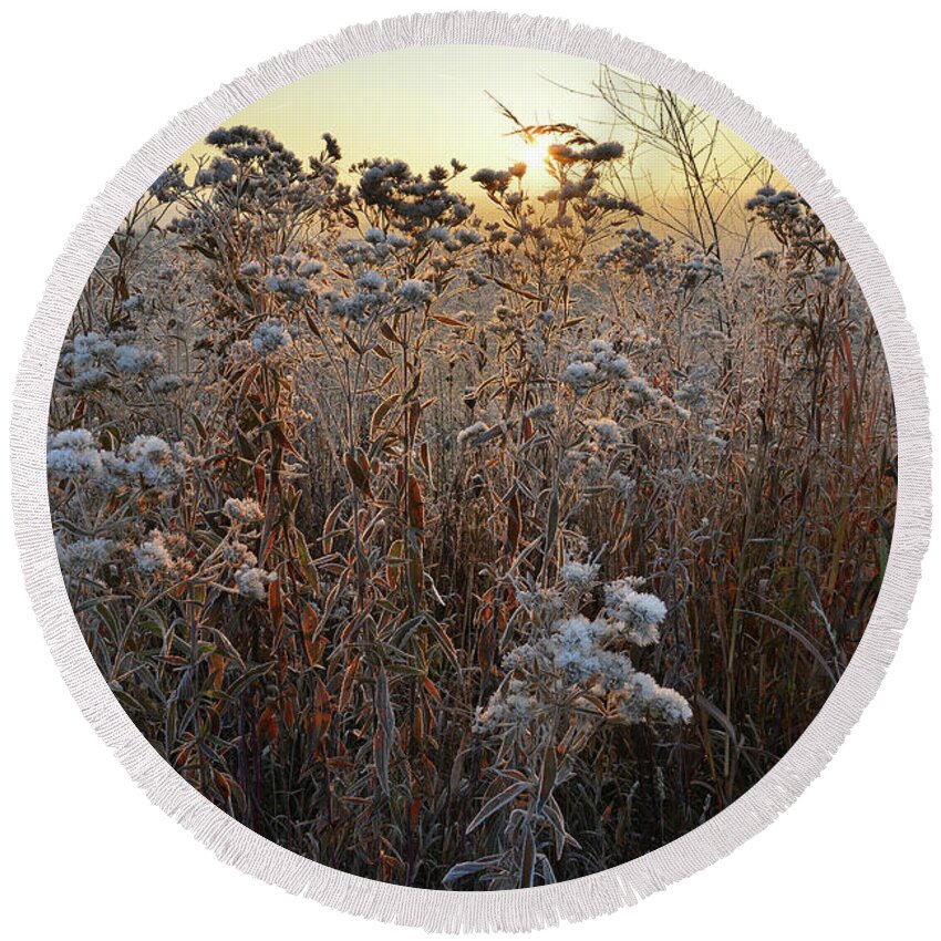 Glacial Park Round Beach Towel featuring the photograph Wildflower Shadows at Sunrise in Glacial Park by Ray Mathis