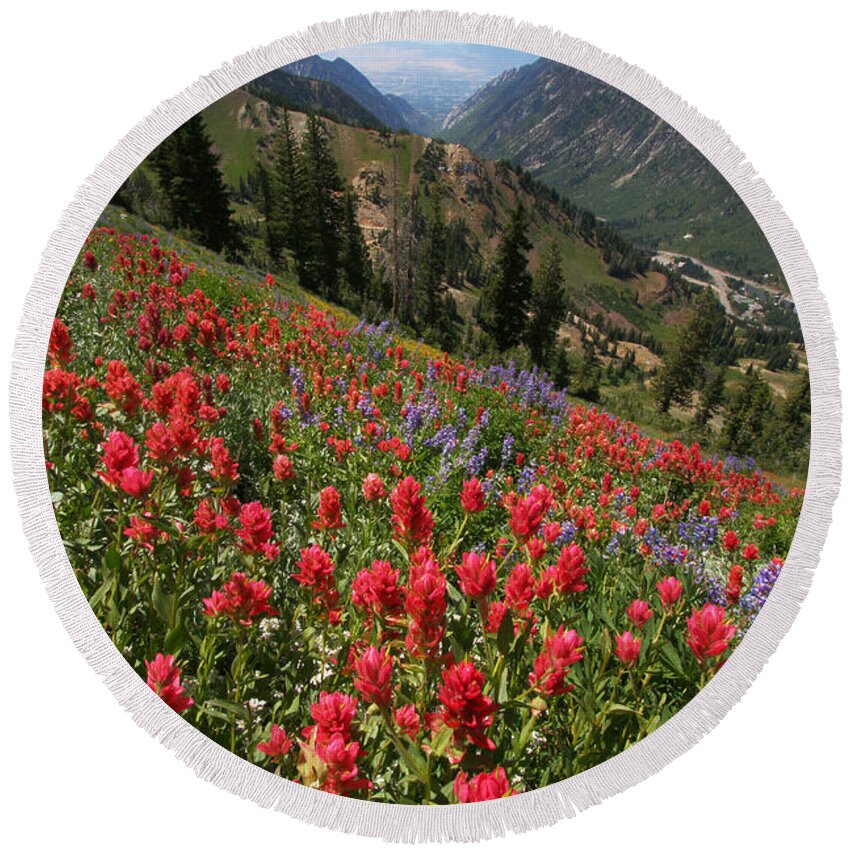 Landscape Round Beach Towel featuring the photograph Wildflowers and View Down Canyon by Brett Pelletier