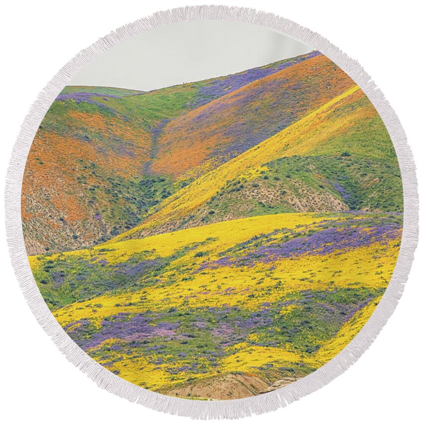 California Round Beach Towel featuring the photograph Wildflowers at the Summit by Marc Crumpler