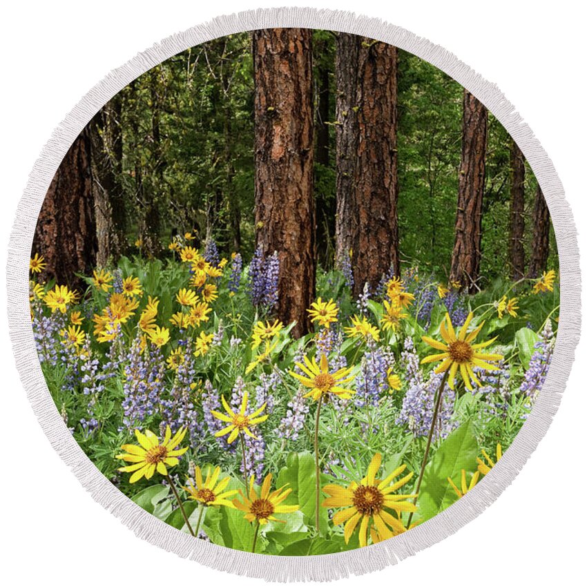 Arrowleaf Balsamroot Round Beach Towel featuring the photograph Balsamroot and Lupine in a Ponderosa Pine Forest by Jeff Goulden