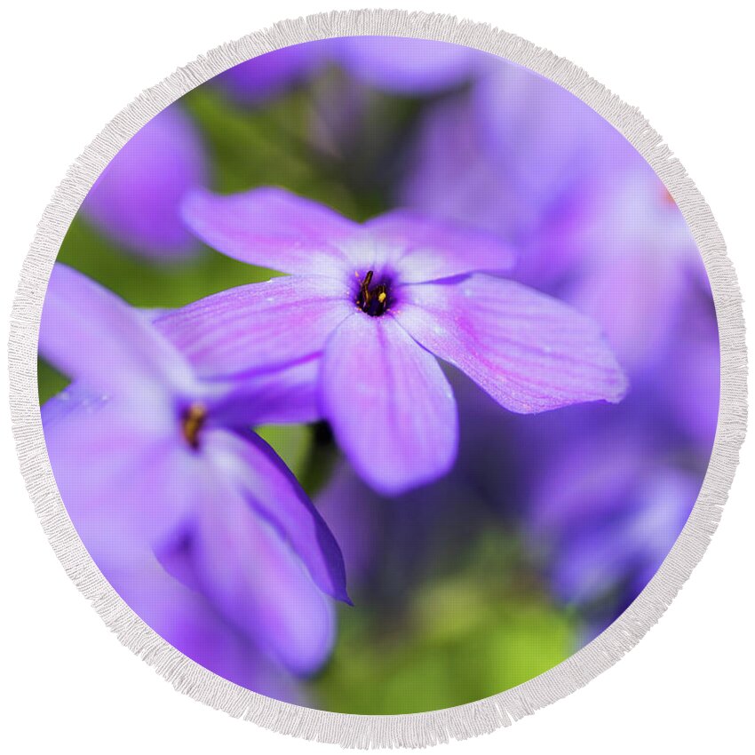 Purple Round Beach Towel featuring the photograph Wildflowers by Jody Partin