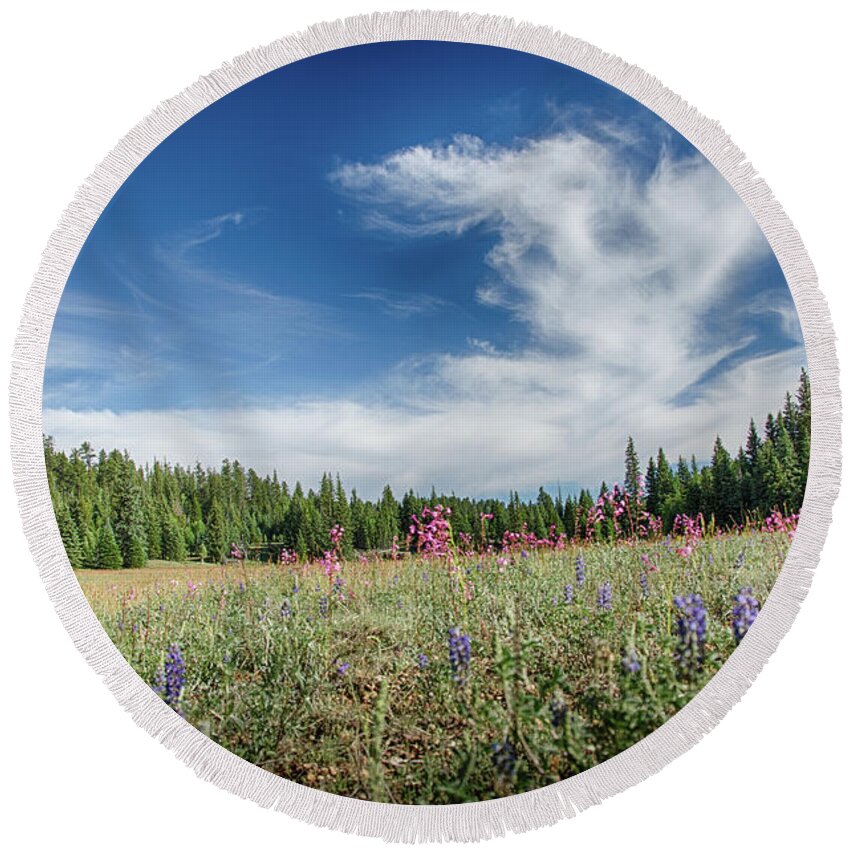 Wildflowers Round Beach Towel featuring the photograph Wildflowers reach for the sky by Gaelyn Olmsted