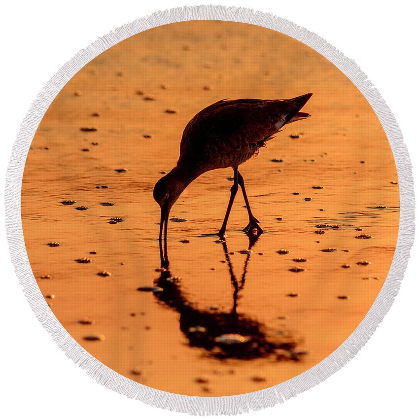 Willet Round Beach Towel featuring the photograph Willet On Sunrise Surf by Steven Sparks