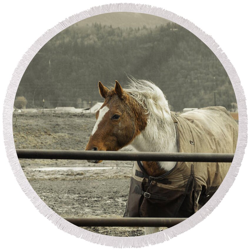 Clay Round Beach Towel featuring the photograph Windy in Mane by Clayton Bruster
