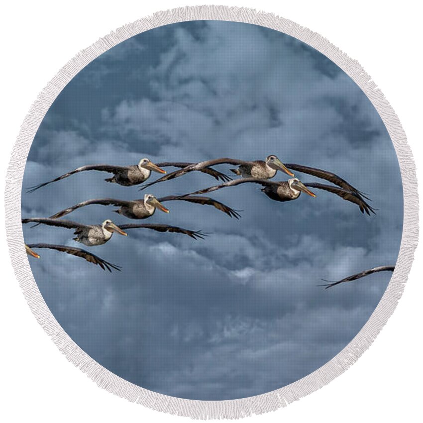 Birds Round Beach Towel featuring the photograph Wings In Formation by DB Hayes