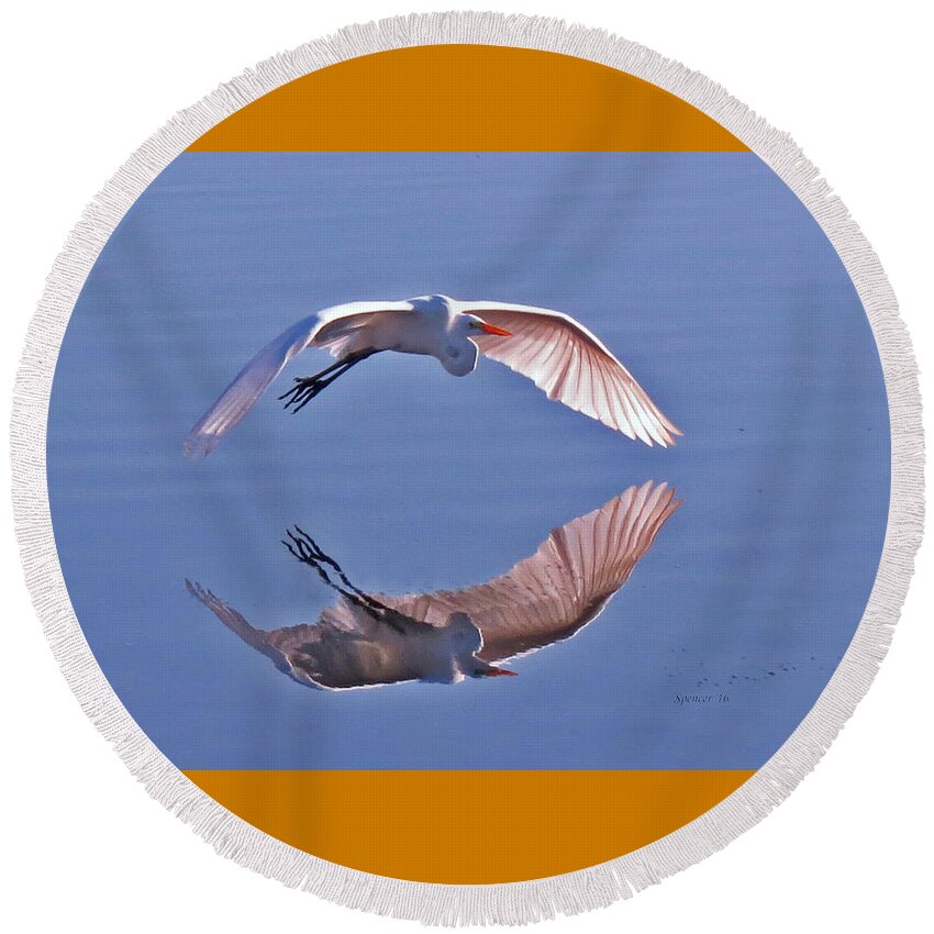 Wildlife Round Beach Towel featuring the photograph Wingtips by T Guy Spencer