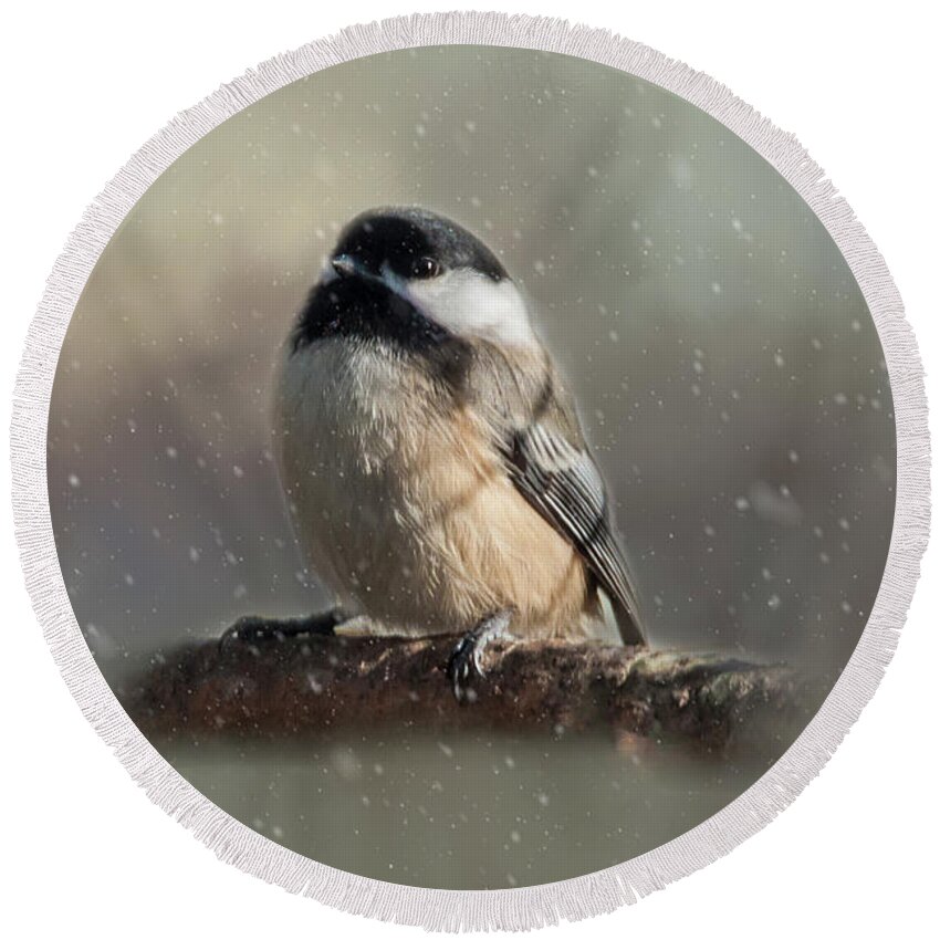 Song Bird Round Beach Towel featuring the photograph Winter Chicadee by Cathy Kovarik