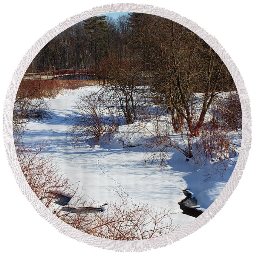 Winter Round Beach Towel featuring the photograph Winter Creek Lined With Red Osea Dogwood by Barbara McMahon