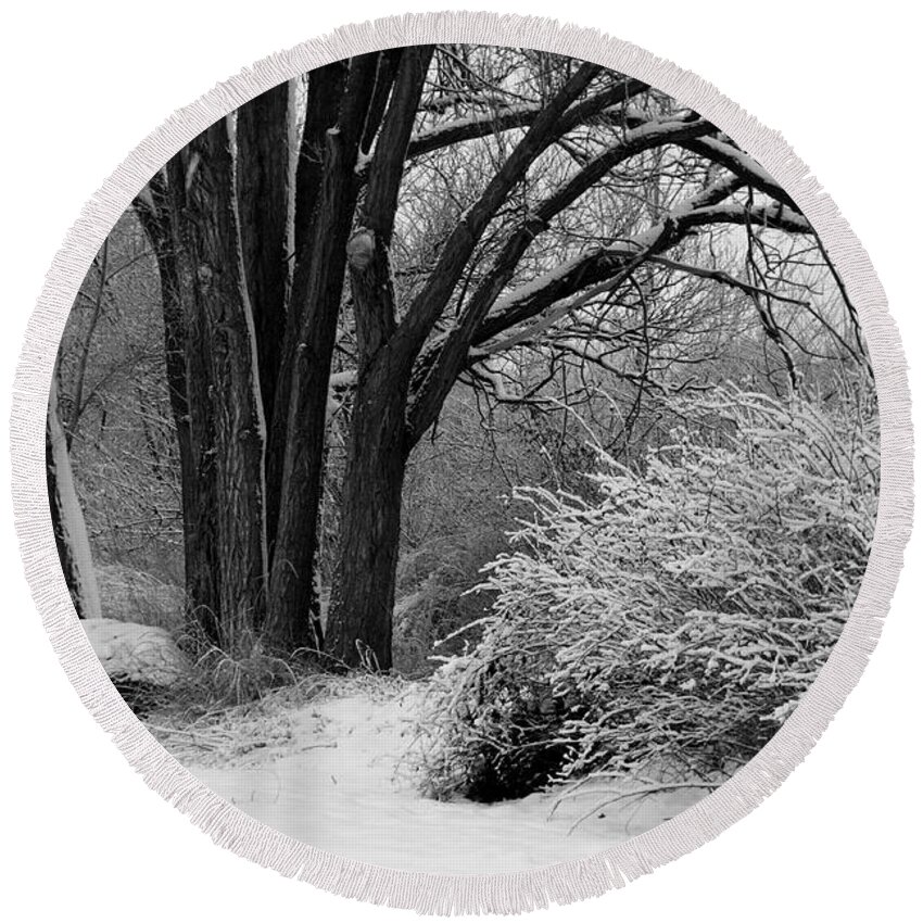 Snowy Landscape Round Beach Towel featuring the photograph Winter Day - Black and White by Carol Groenen