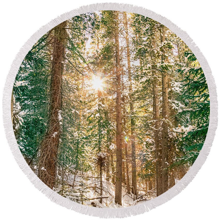 Winter Round Beach Towel featuring the photograph Winter Forest Sunshine by James BO Insogna