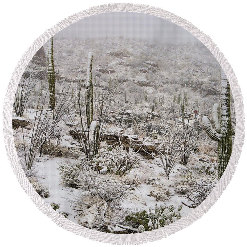Southwest Round Beach Towel featuring the photograph Winter In The Desert by Sandra Bronstein