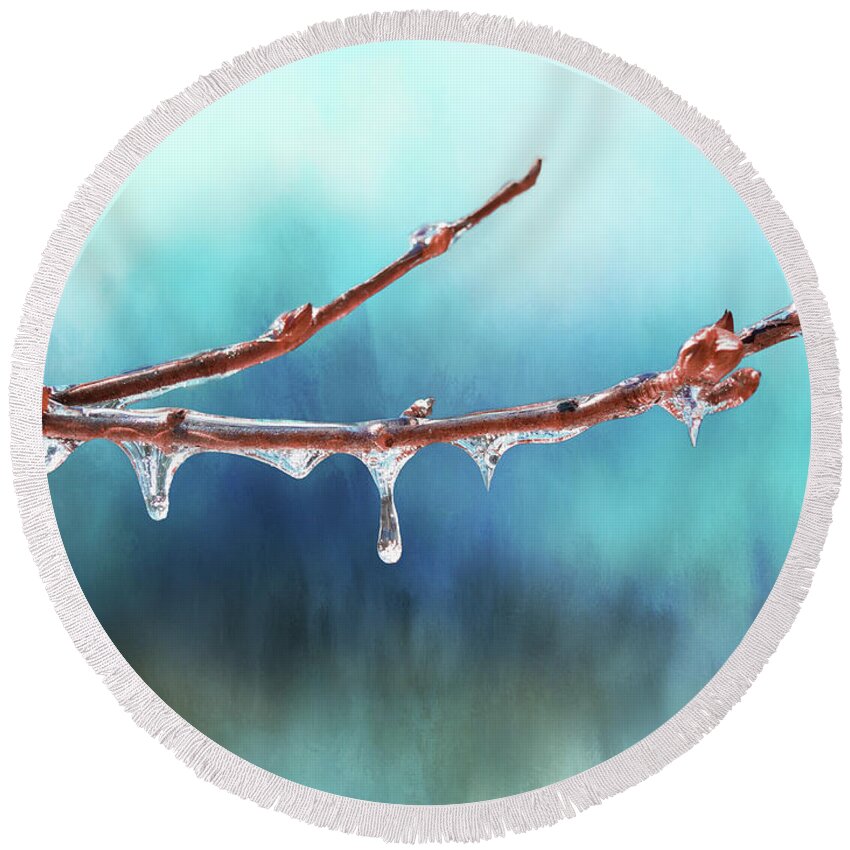 Winter Round Beach Towel featuring the photograph Winter Magic - Gleaming Ice on Viburnum Branches by Anita Pollak
