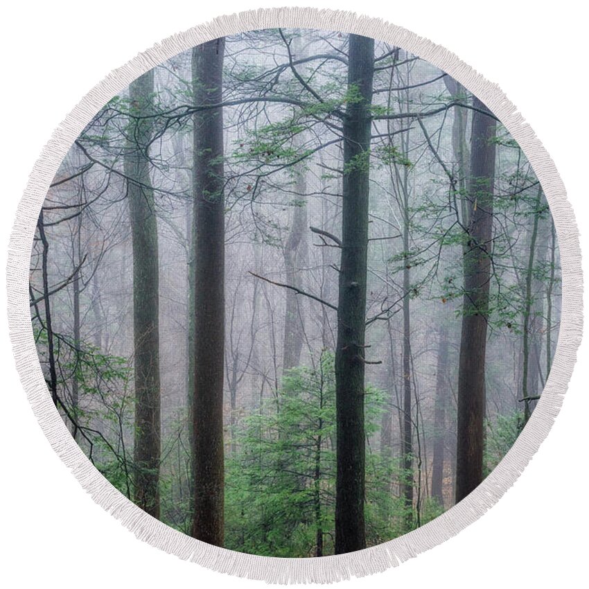 Fog Round Beach Towel featuring the photograph Winter Mist in the Woods by Thomas R Fletcher