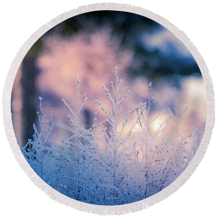 Winter Round Beach Towel featuring the photograph Winter Morning Light by Allin Sorenson