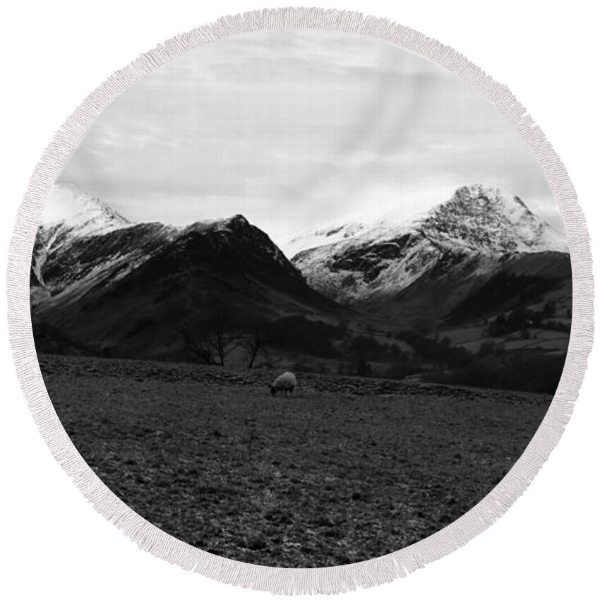 Nature Round Beach Towel featuring the photograph Winter sheep by Lukasz Ryszka