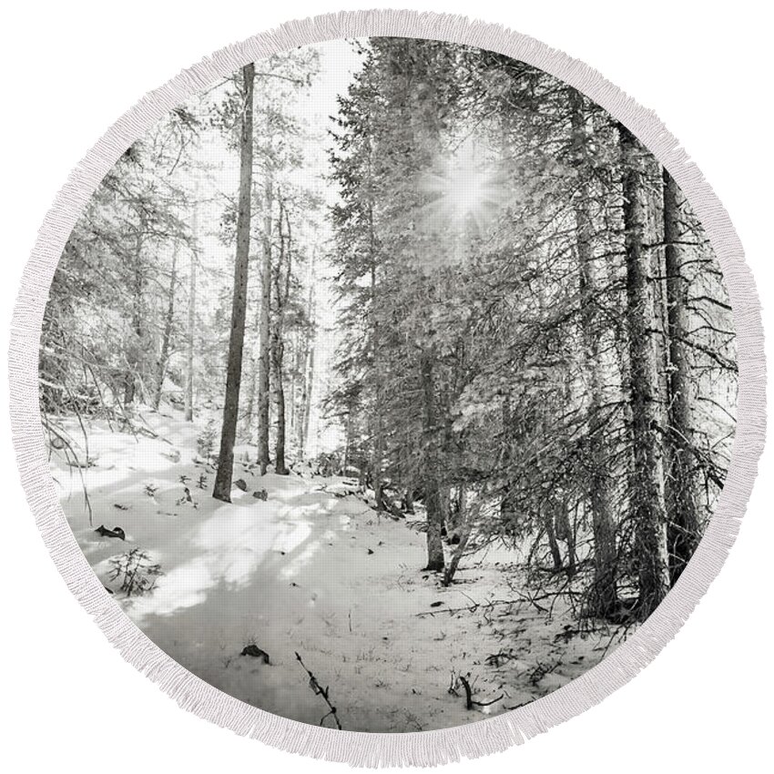 Backcountry Round Beach Towel featuring the photograph Winter Sunshine Forest Shades Of Gray by James BO Insogna
