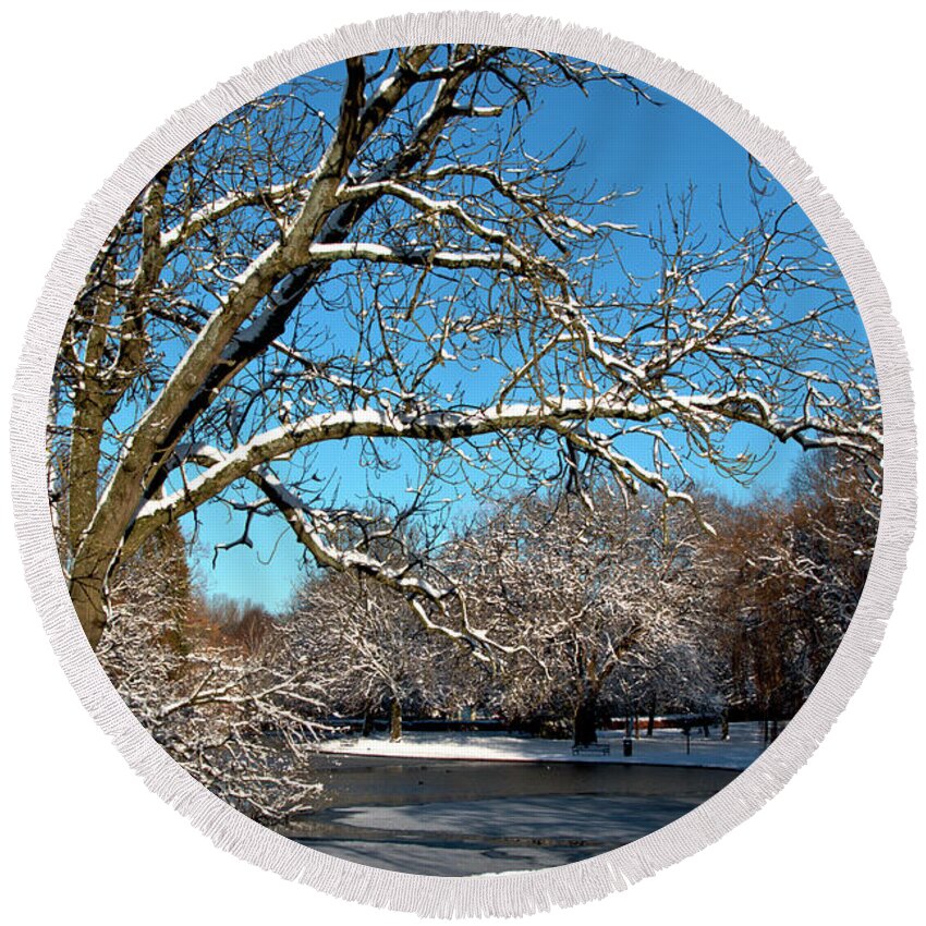 Winter Round Beach Towel featuring the photograph Winter Tree by Baggieoldboy