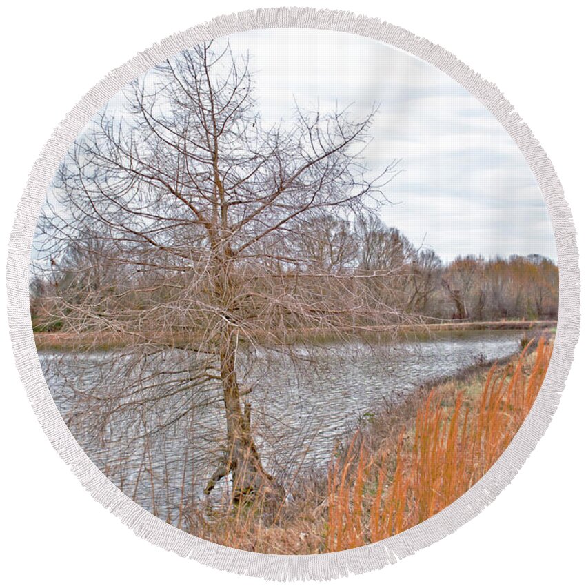 Pond Round Beach Towel featuring the photograph Winter Tree on Pond Shore by Gina O'Brien