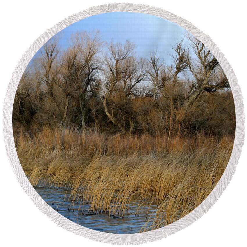Snake River Round Beach Towel featuring the photograph Winter Trees Along The Snake by Ed Riche