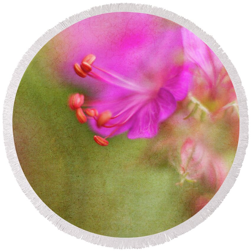 Geranium Round Beach Towel featuring the photograph Wisp of Spring by Sharon Johnstone