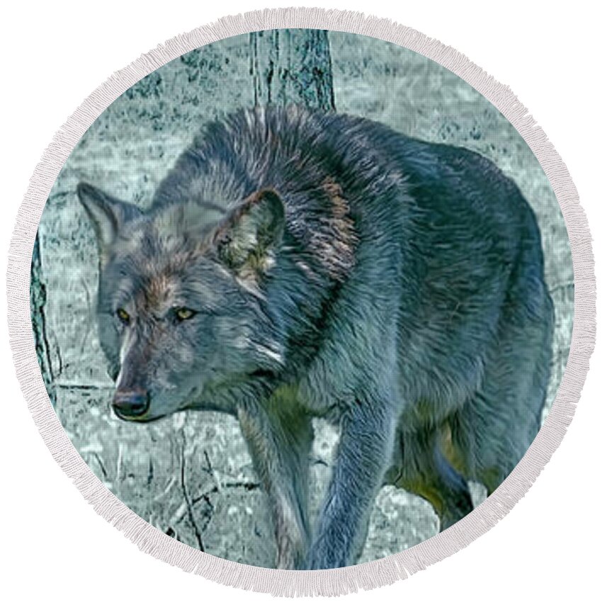 Wolf Round Beach Towel featuring the photograph Wolf Trio by Brian Tarr