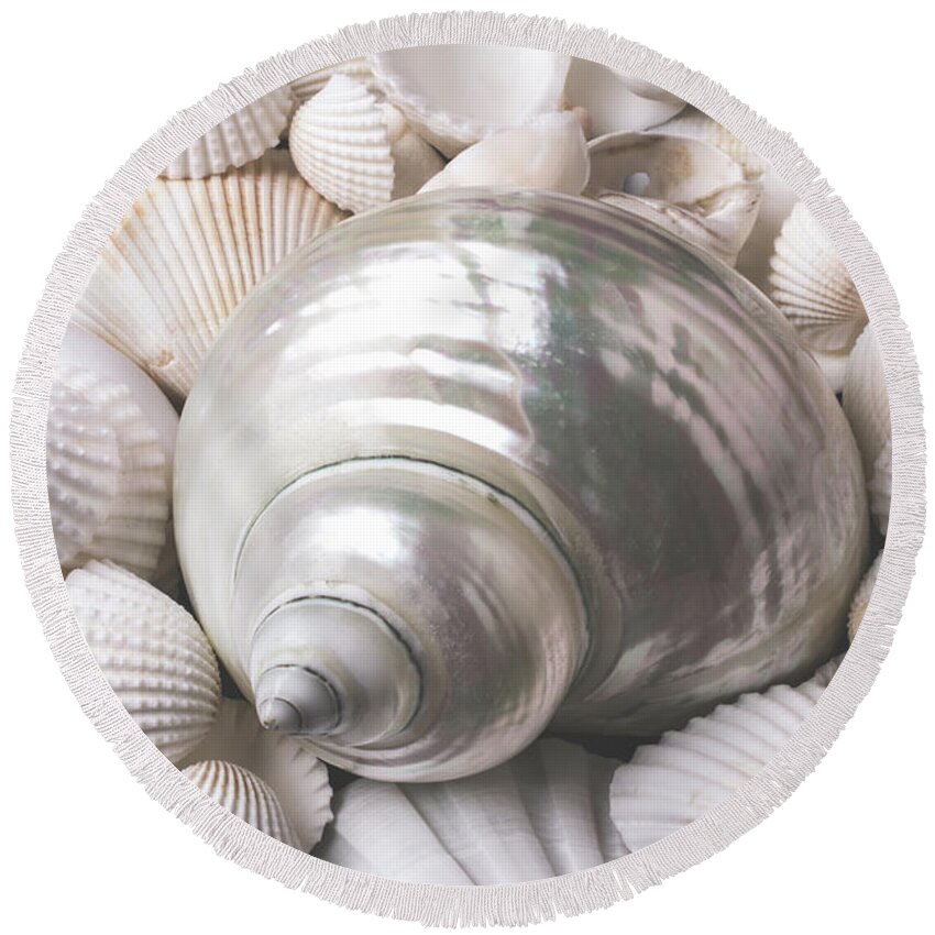 White Round Beach Towel featuring the photograph Wonderful White Seashells by Garry Gay