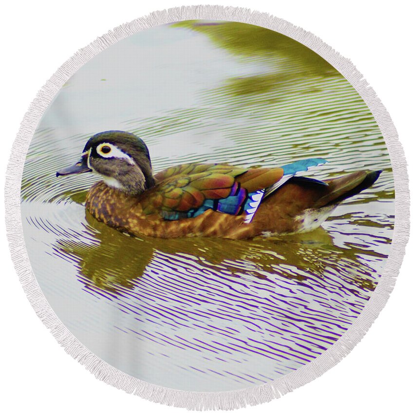 Wood Duck Hen Round Beach Towel featuring the photograph Wood Duck Hen by Kathy Kelly