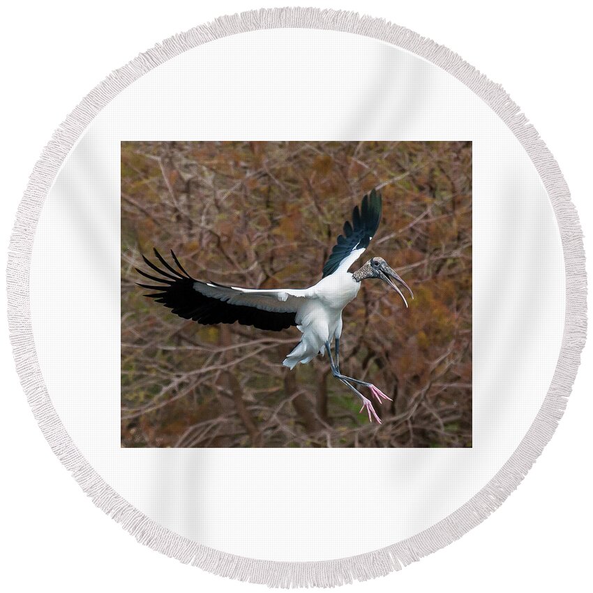 Bird Round Beach Towel featuring the photograph Wood Stork Landing 3591 by Ginger Stein