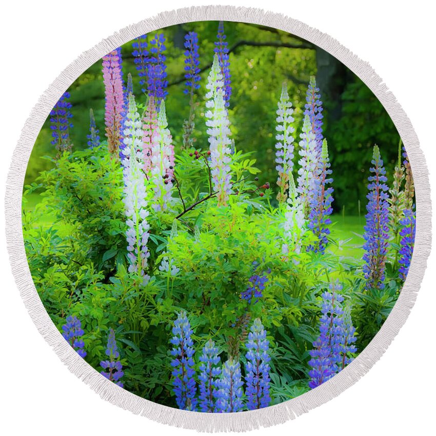 Lupines Round Beach Towel featuring the photograph Woodland Fantasy by Jeff Cooper