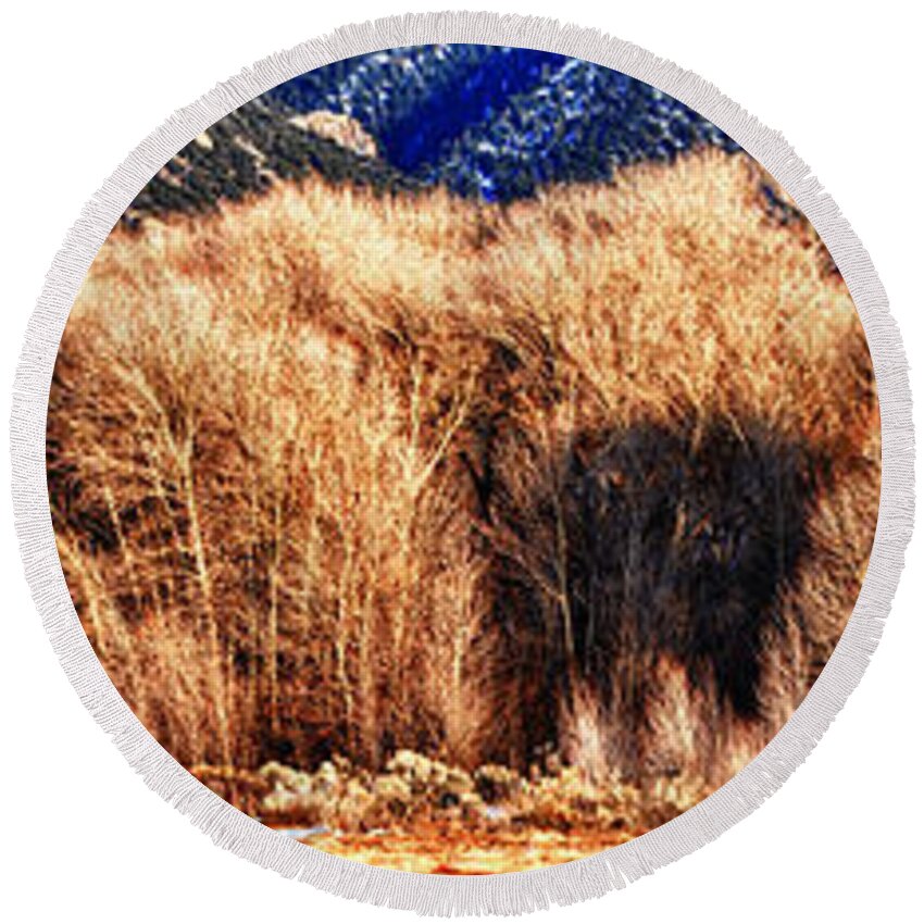 Colorado Naure Round Beach Towel featuring the photograph Woods by OLena Art by Lena Owens - Vibrant DESIGN