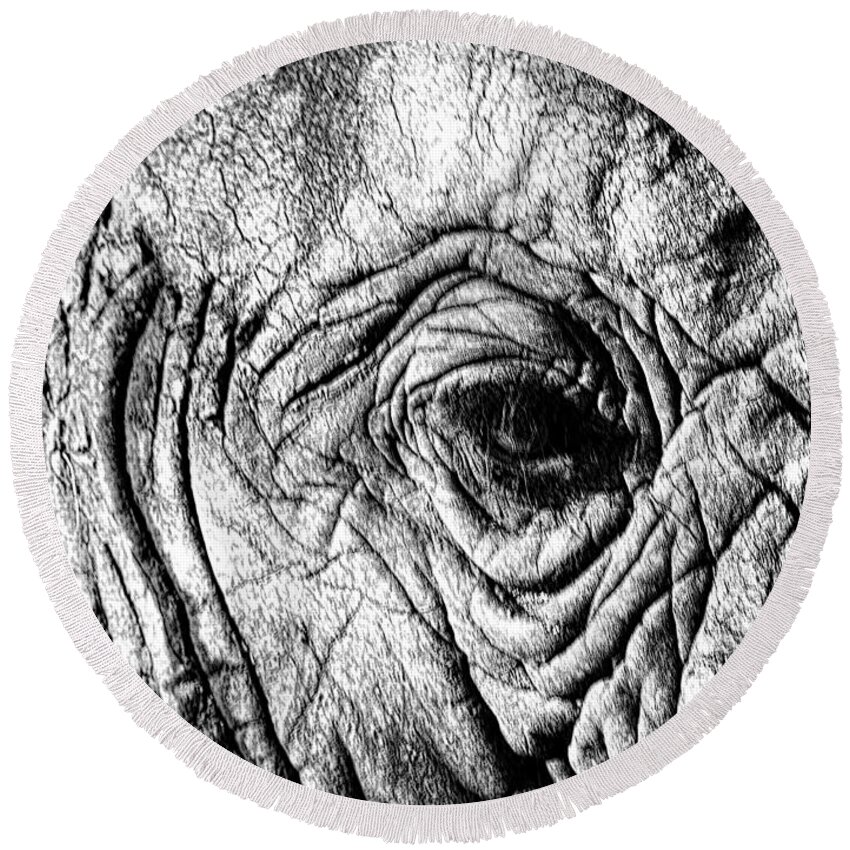 Elephant Round Beach Towel featuring the photograph Wrinkled Eye by Douglas Barnard