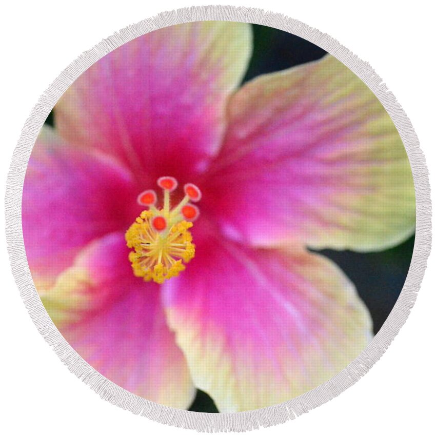 Flower Round Beach Towel featuring the photograph Yellow and Pink Hibiscus 2 by Amy Fose