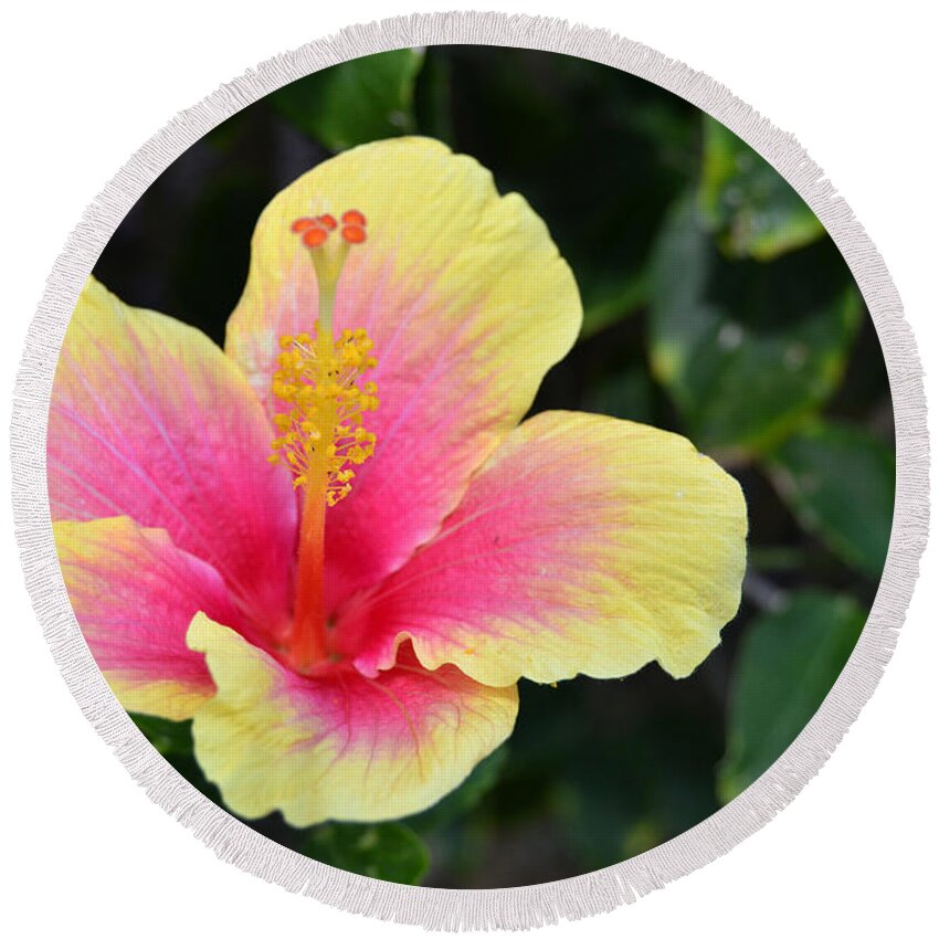Flower Round Beach Towel featuring the photograph Yellow and Pink Hibiscus 1 by Amy Fose