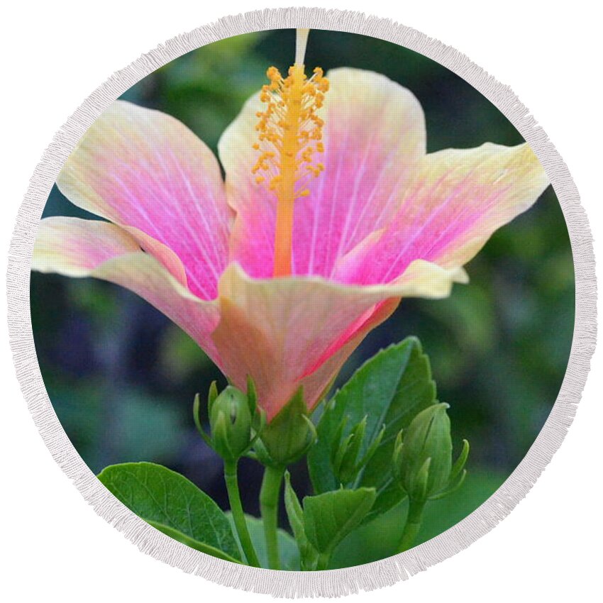 Flower Round Beach Towel featuring the photograph Yellow and Pink Hibiscus Reach by Amy Fose