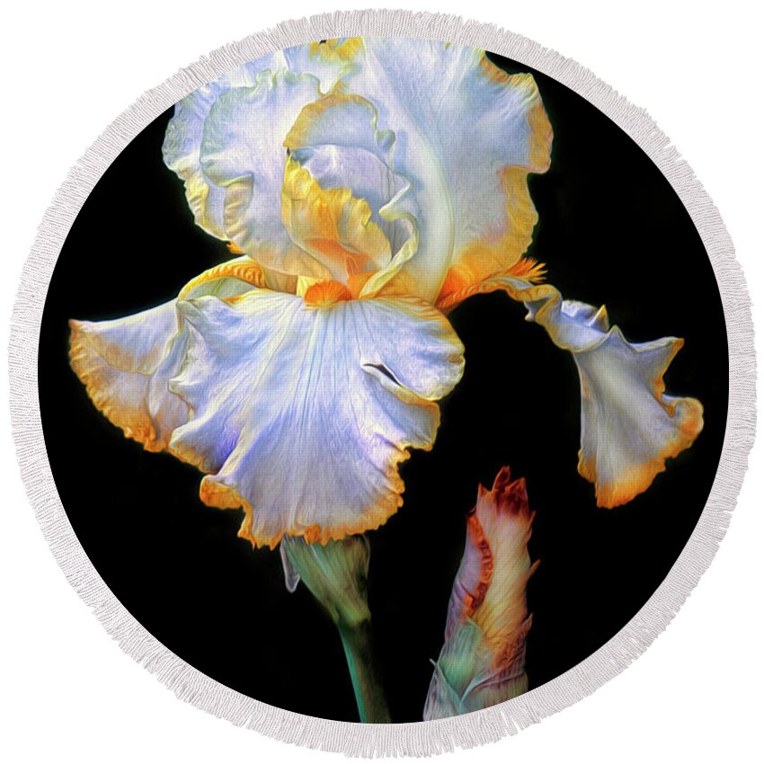 Iris Round Beach Towel featuring the photograph Yellow and White Iris by Dave Mills