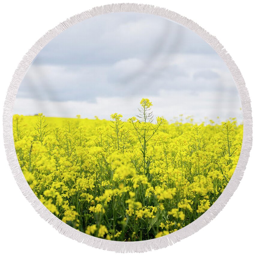 Australia Photography Round Beach Towel featuring the photograph Yellow canopies by Ivy Ho