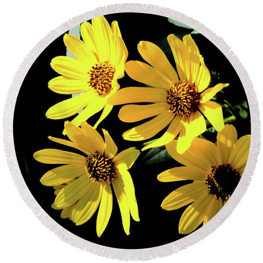 Nature Round Beach Towel featuring the photograph Yellow Dasies by Bradley Dever