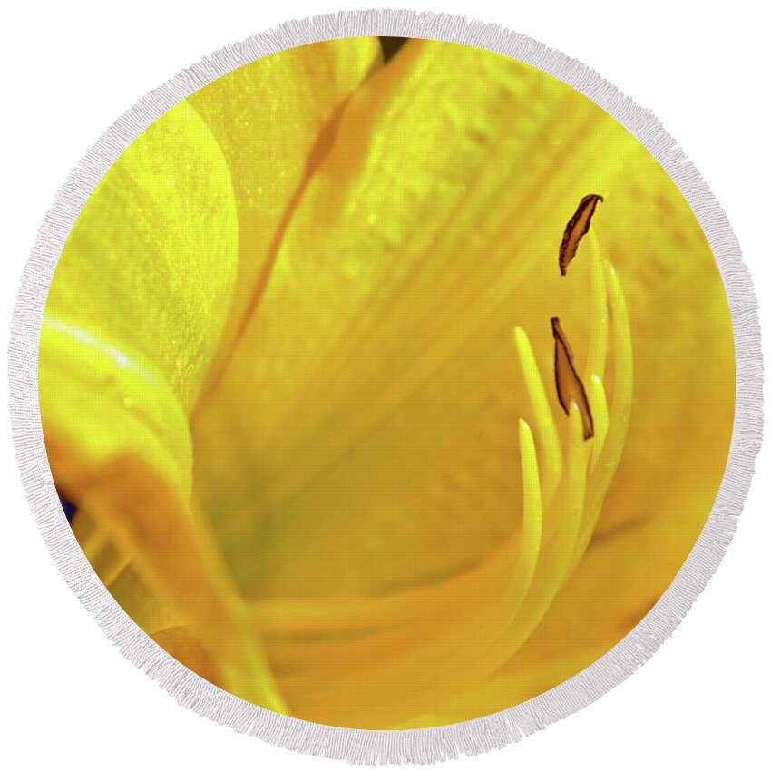 Nature Round Beach Towel featuring the photograph Yellow Day Lily by Kay Lovingood