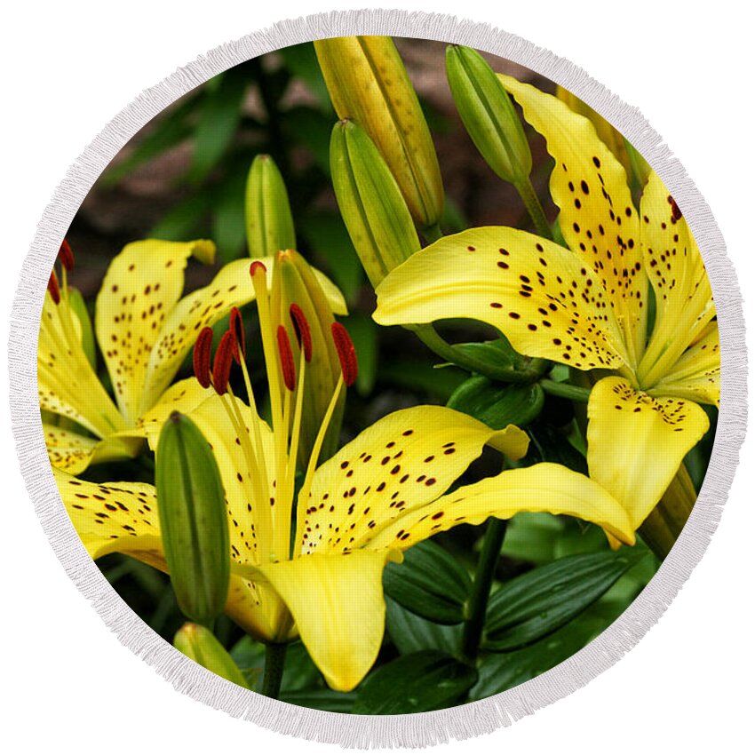 Flowers Round Beach Towel featuring the photograph Yellow Lilies by William Selander