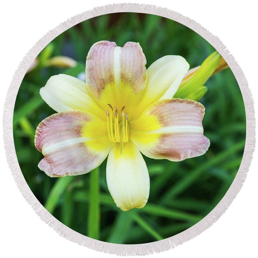 Daylily Round Beach Towel featuring the photograph Yellow Daylily by D K Wall