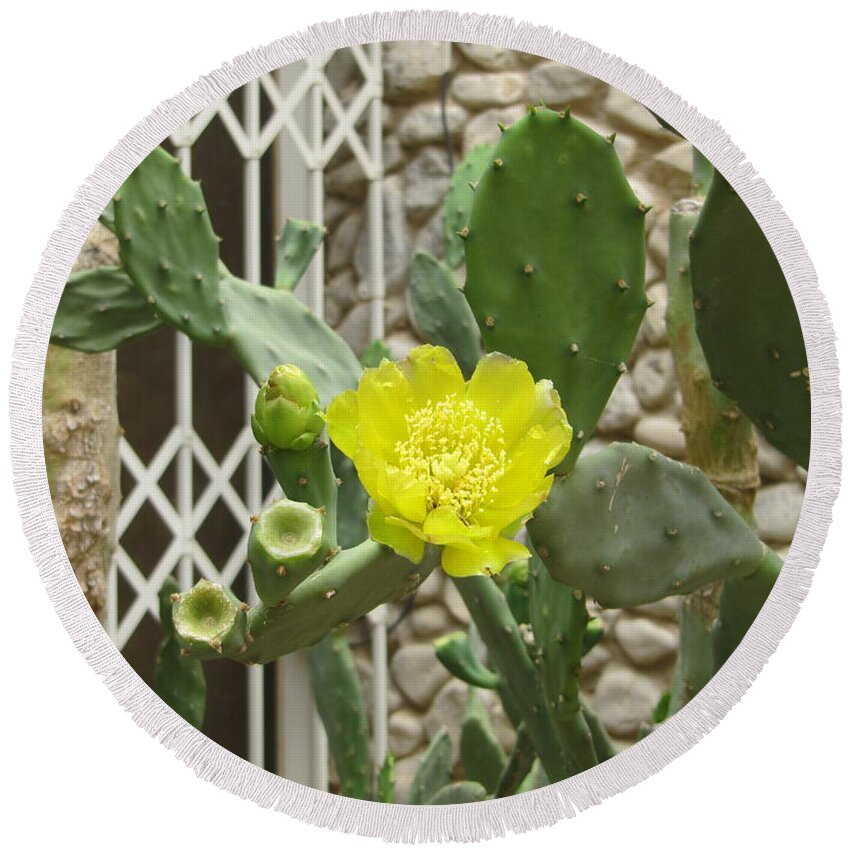 Gardens Round Beach Towel featuring the photograph Yellow Flower Cactus by Donna L Munro