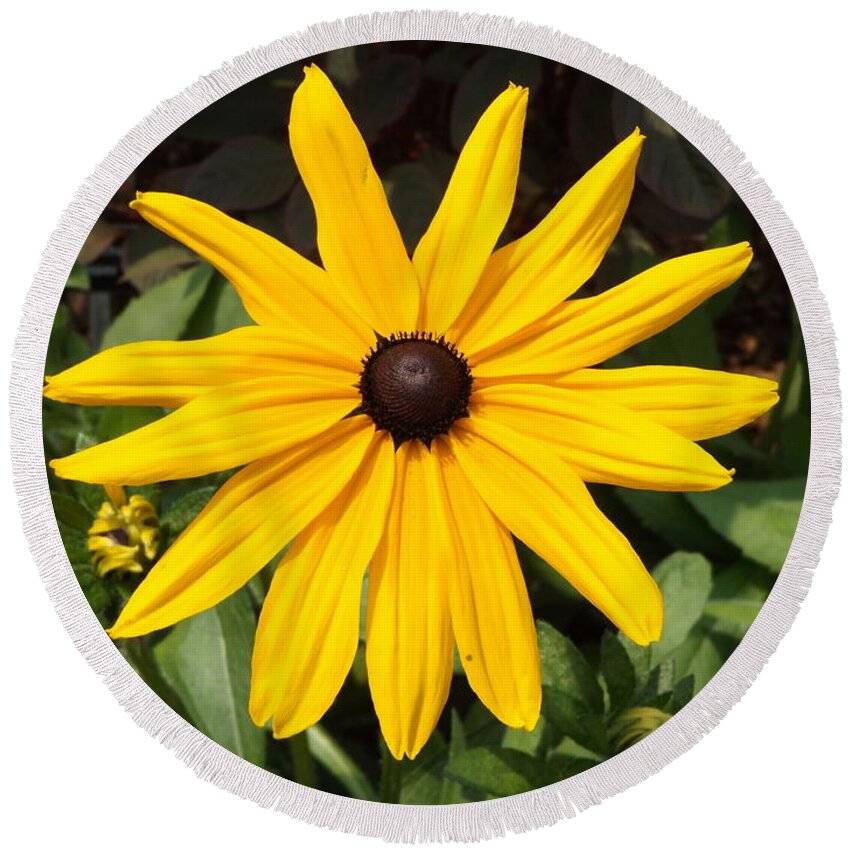 Yellow Round Beach Towel featuring the photograph Yellow Flower by Erick Schmidt