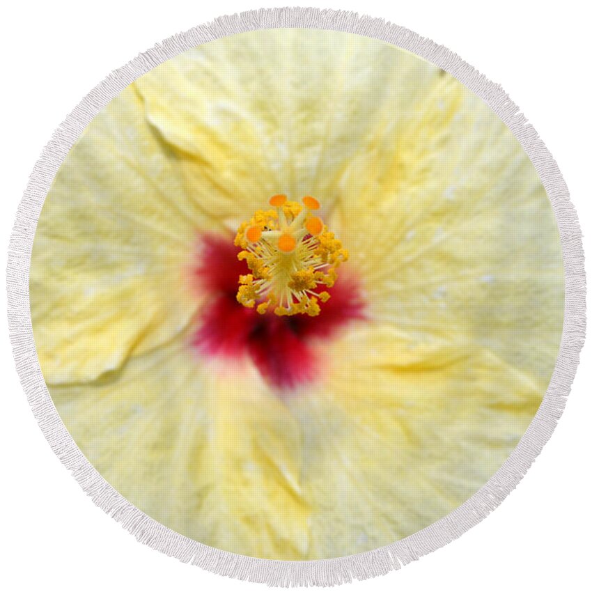 Flower Round Beach Towel featuring the photograph Yellow Red Hibiscus 1 by Amy Fose