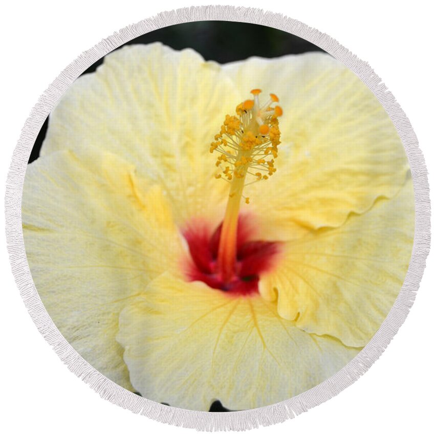 Flower Round Beach Towel featuring the photograph Yellow Red Hibiscus by Amy Fose