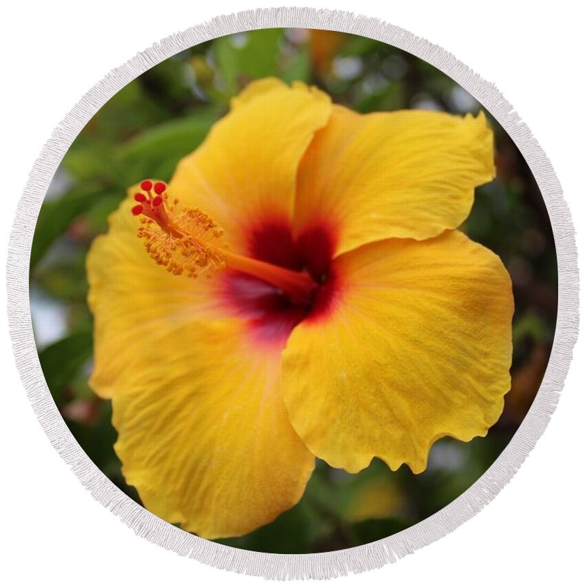 Hibiscus Round Beach Towel featuring the photograph Yellow Hibiscus by Brian Eberly