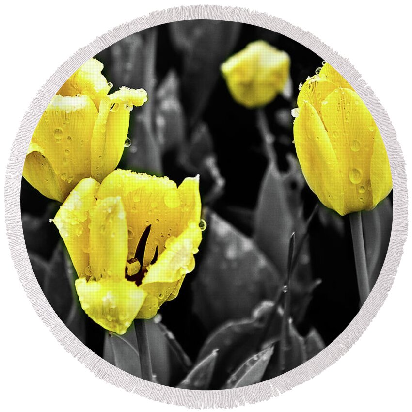 Tulips Round Beach Towel featuring the photograph Yellow in Black and White by Steven Parker
