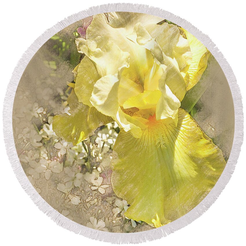 40d Round Beach Towel featuring the digital art Yellow Iris #1 by Mark Mille